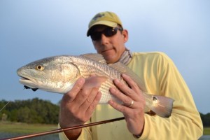 fly fishing for red fish