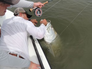 Ryan with one of the biggest tarpon I haver ever seen.