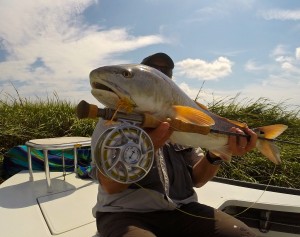 fly fishing hilton head